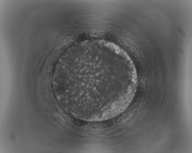 X0000111580817200908131316