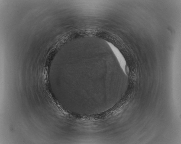 X0000111580818200908131316