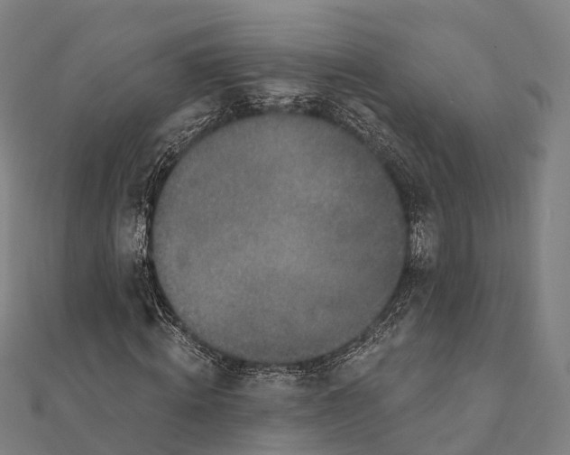 X0000111580820200908131317