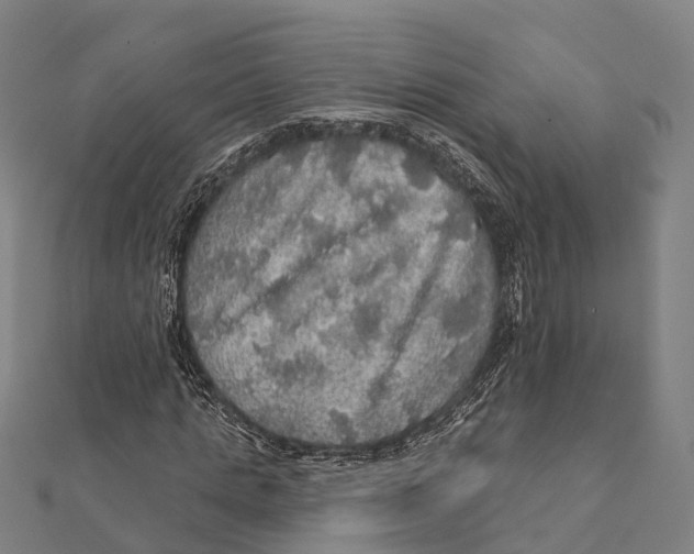 X0000111580821200908131317