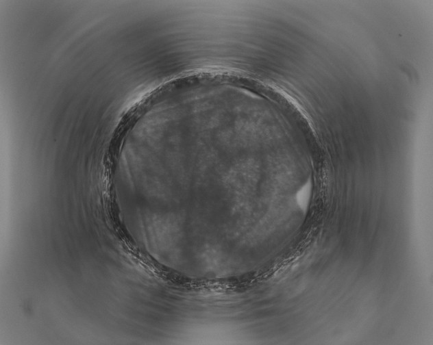 X0000111580823200908131317