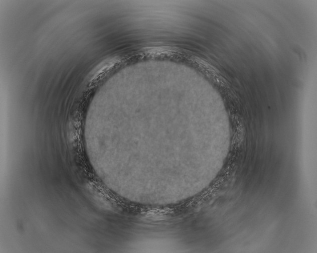 X0000111580824200908131317