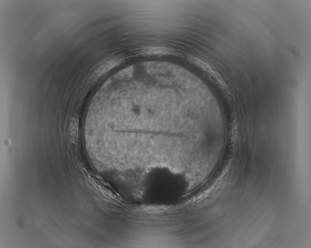 X0000111580825200908131317