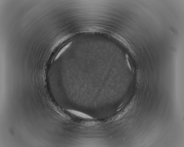 X0000111580826200908131317