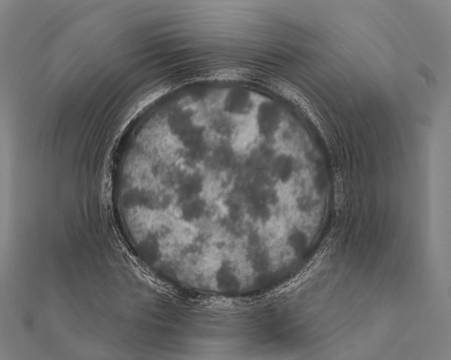 X0000111580827200908131317