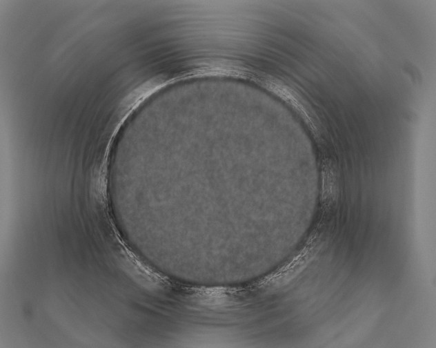 X0000111580828200908131317