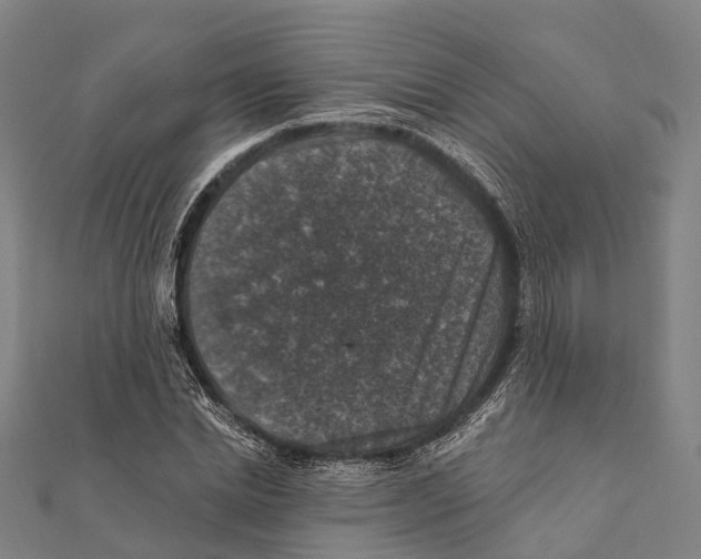 X0000111580830200908131317