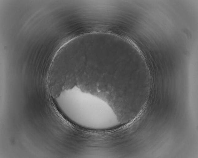 X0000111580831200908131317