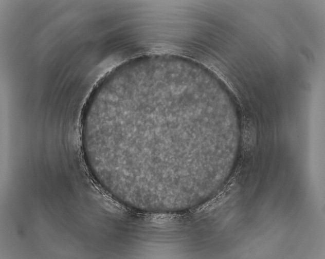 X0000111580832200908131317