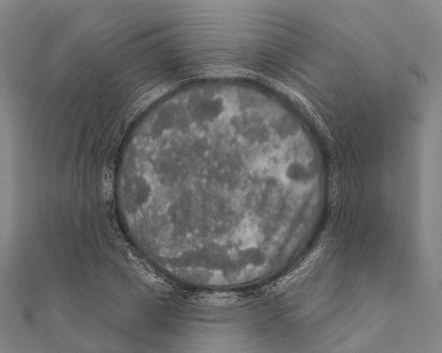 X0000111580833200908131317