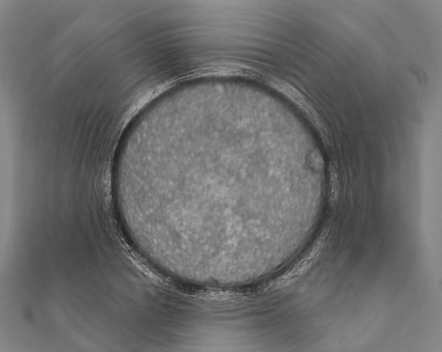 X0000111580834200908131317