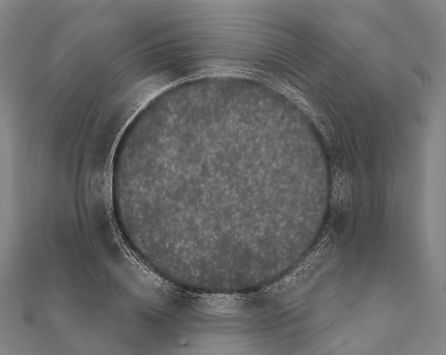 X0000111580836200908131317