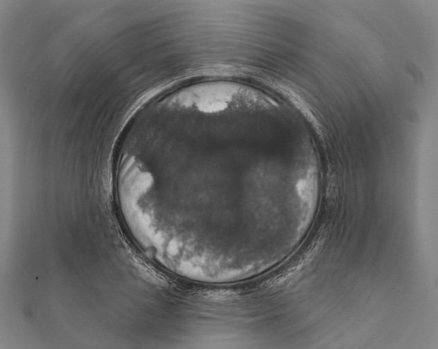 X0000111580837200908131317