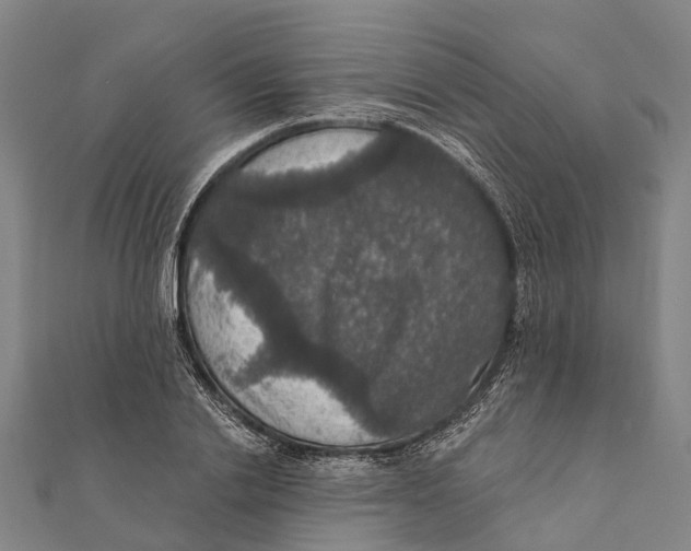 X0000111580838200908131317