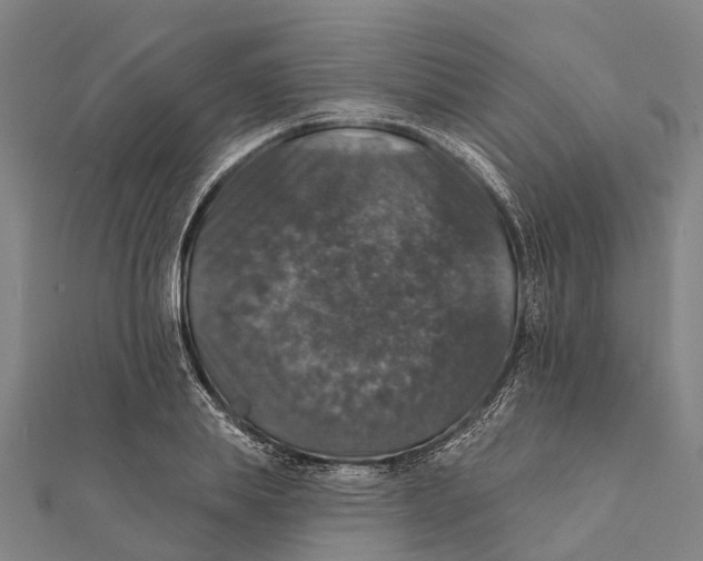 X0000111580839200908131317