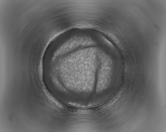 X0000111580840200908131317