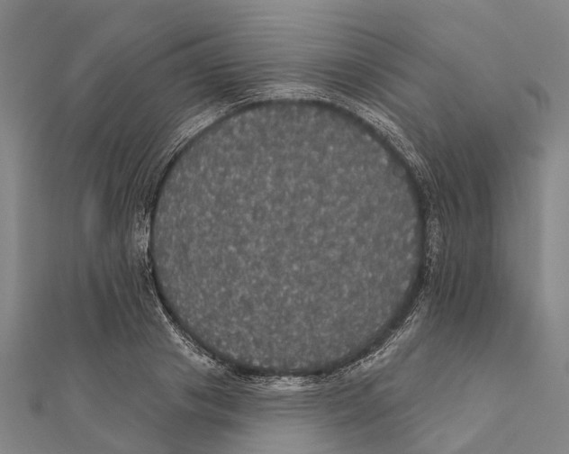 X0000111580841200908131317