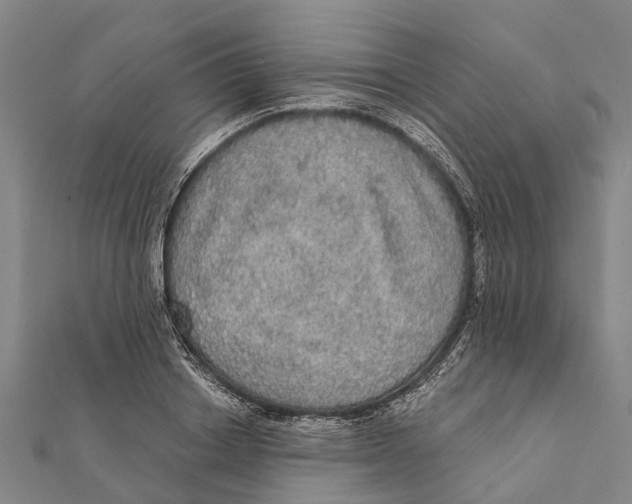 X0000111580842200908131317