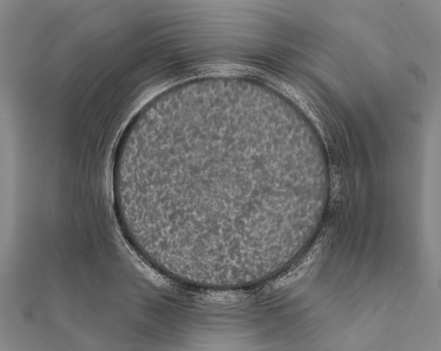 X0000111580843200908131317