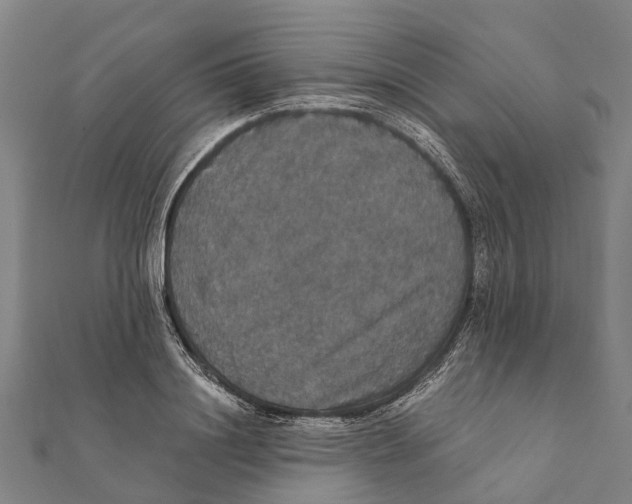 X0000111580844200908131317