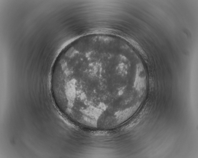 X0000111580846200908131317