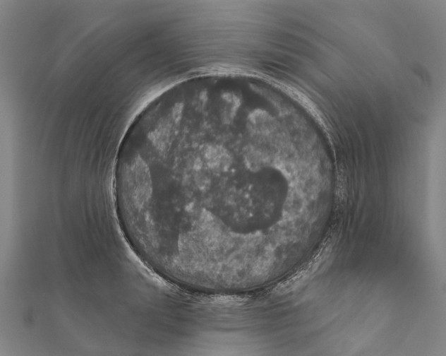 X0000111580847200908131317