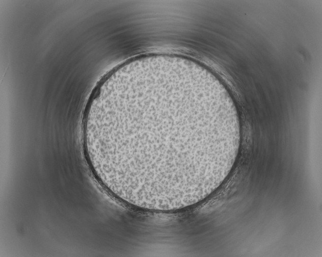 X0000111580848200908131317