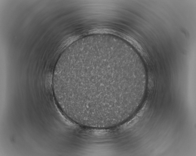 X0000111580849200908131317