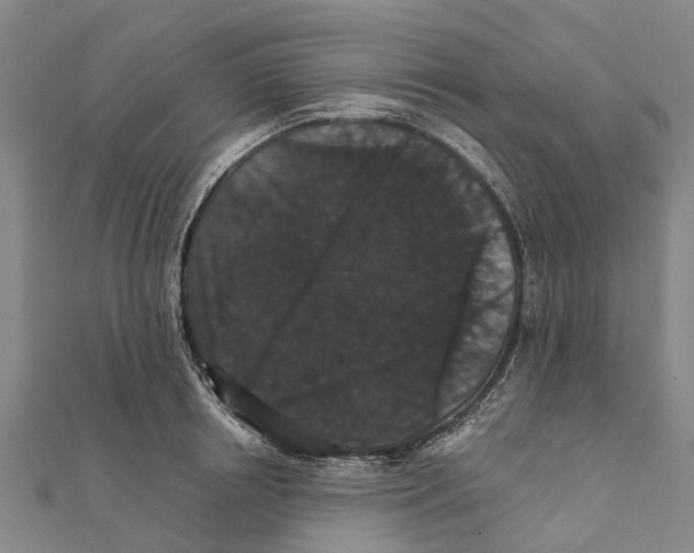 X0000111580850200908131317