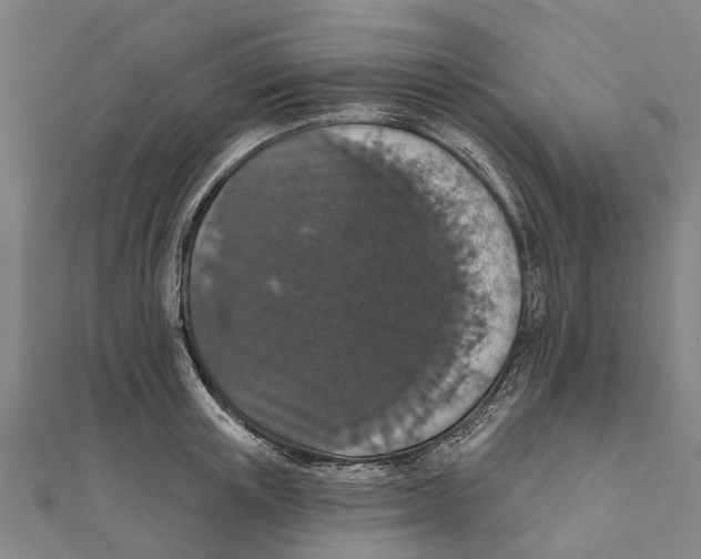 X0000111580851200908131317