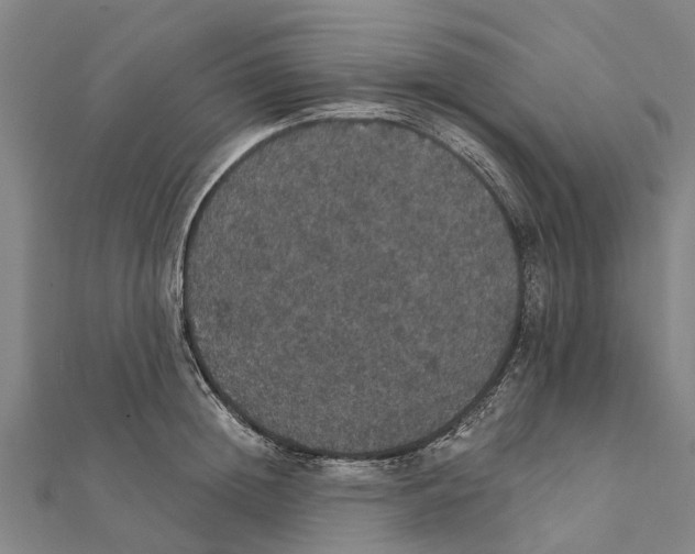 X0000111580852200908131317