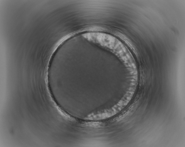 X0000111580853200908131317