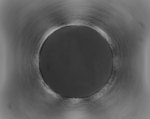 X0000111580854200908131317