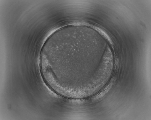 X0000111580855200908131317