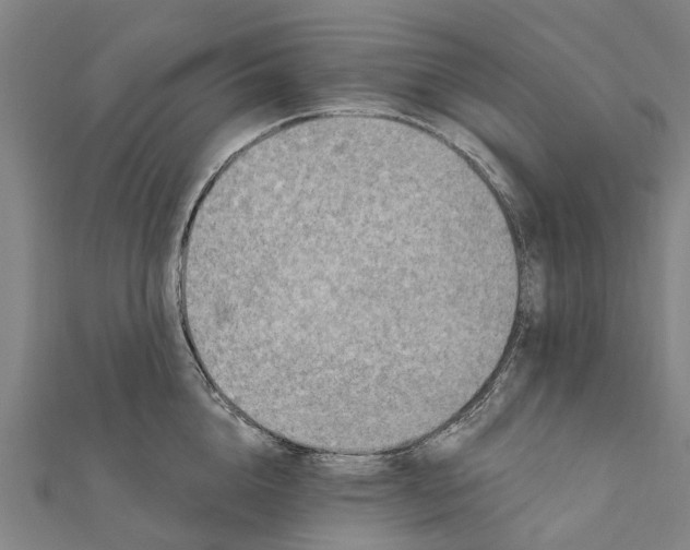 X0000111580856200908131317