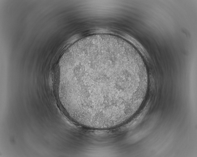 X0000111580857200908131317