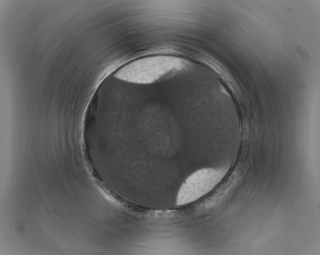 X0000111580858200908131317