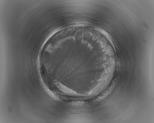 X0000111580859200908131317