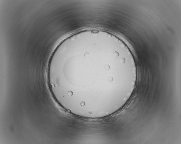 X0000111580861200908131317