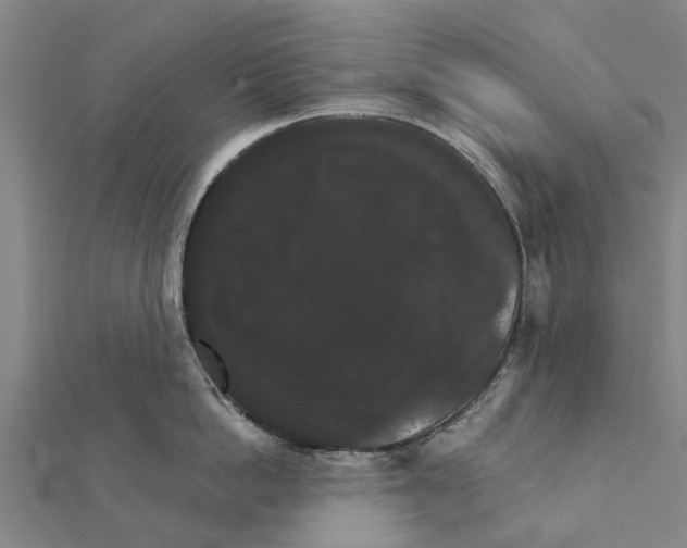 X0000111580862200908131317