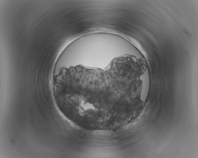 X0000111580863200908131317