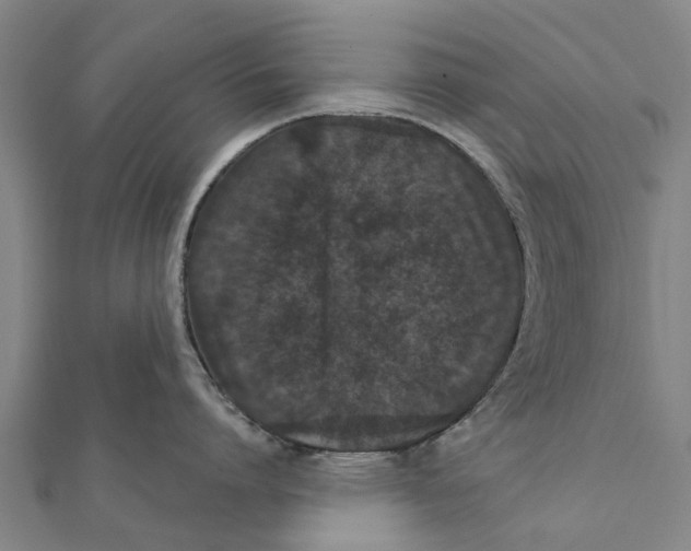 X0000111580864200908131317