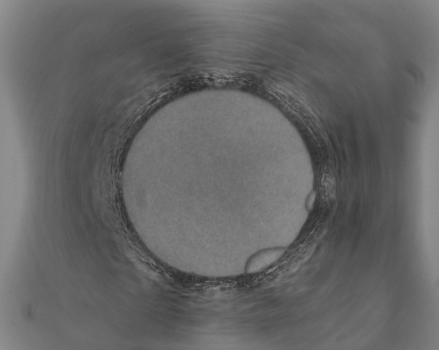 X0000111580865200908131316