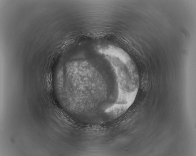 X0000111580866200908131316