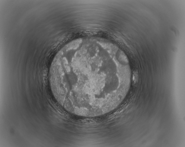 X0000111580867200908131316