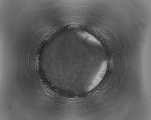 X0000111580868200908131316