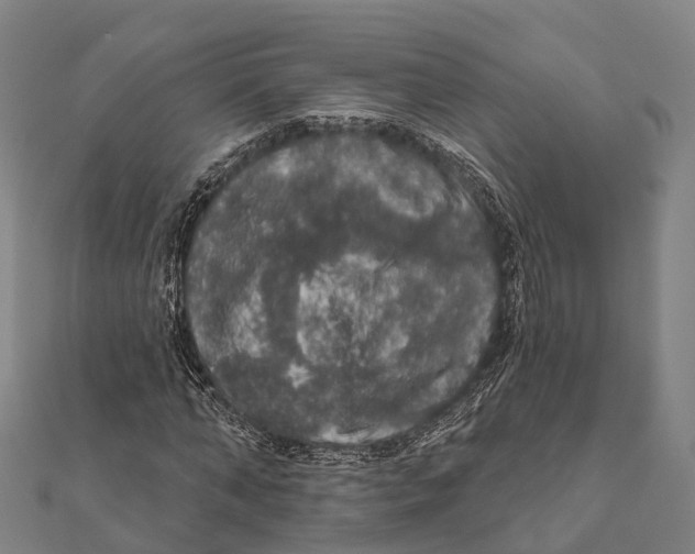 X0000111580870200908131316