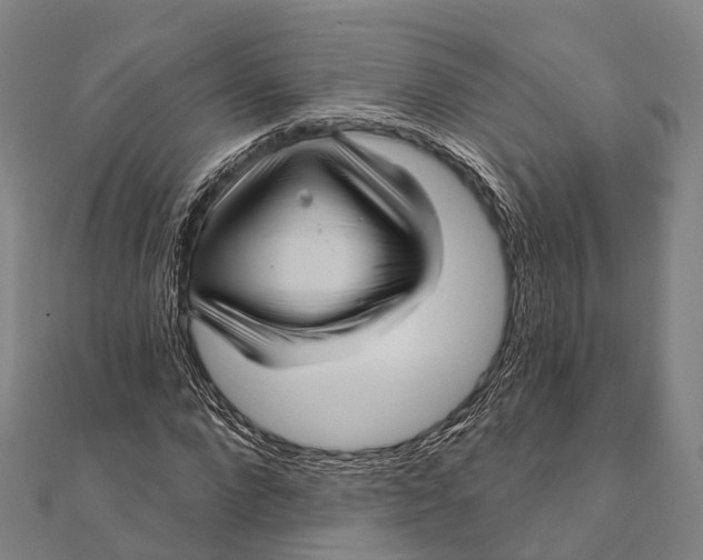 X0000111580872200908131316