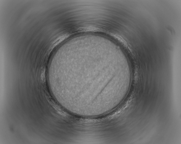 X0000111580873200908131316