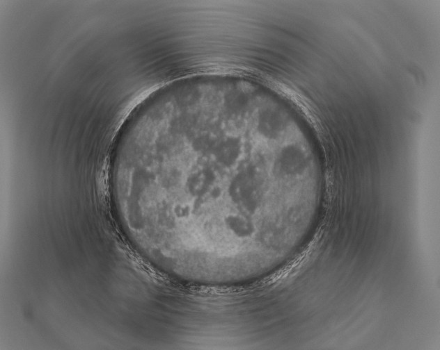 X0000111580875200908131316